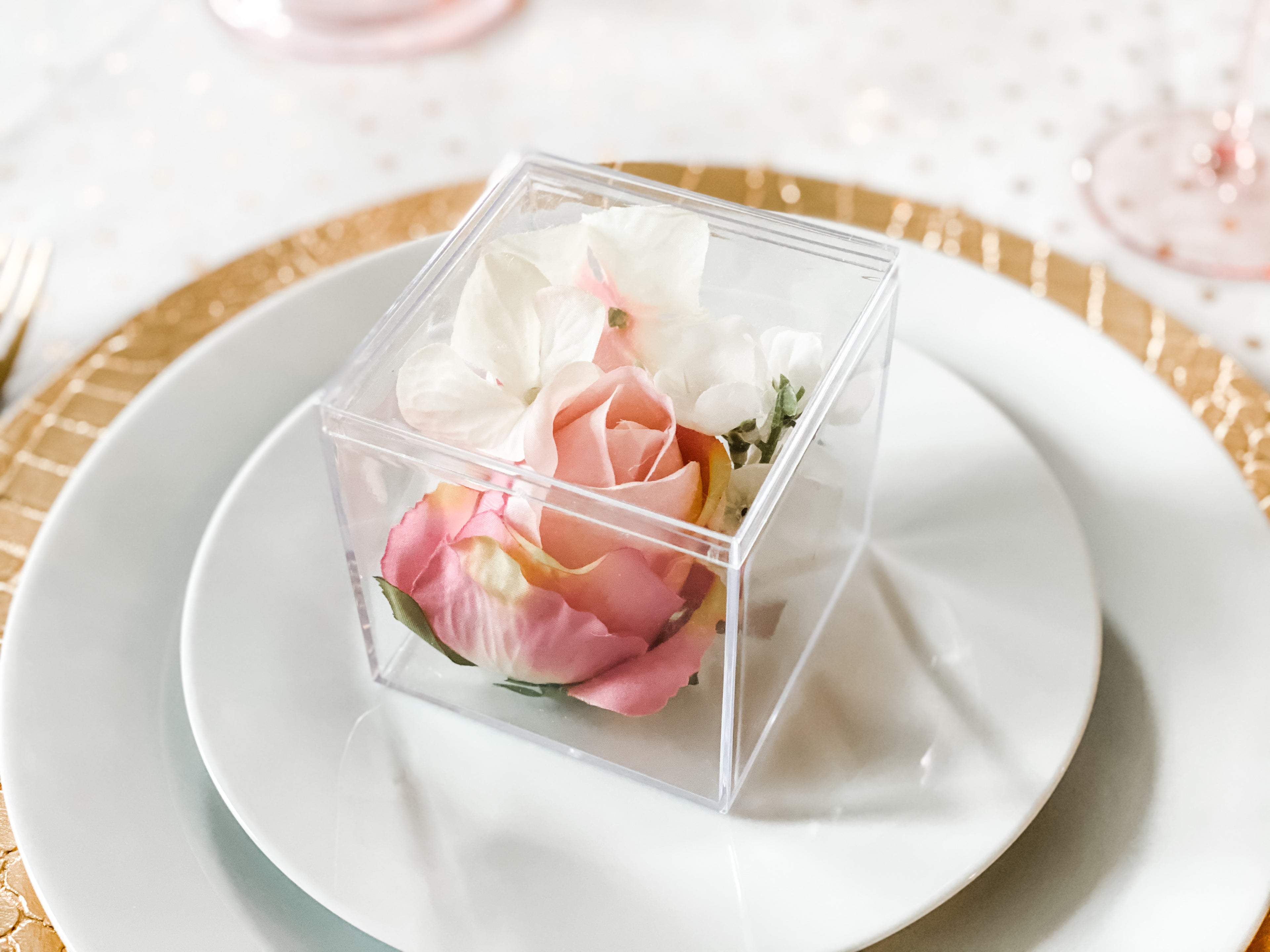 Clear Cubes – Large Cube 3.25"