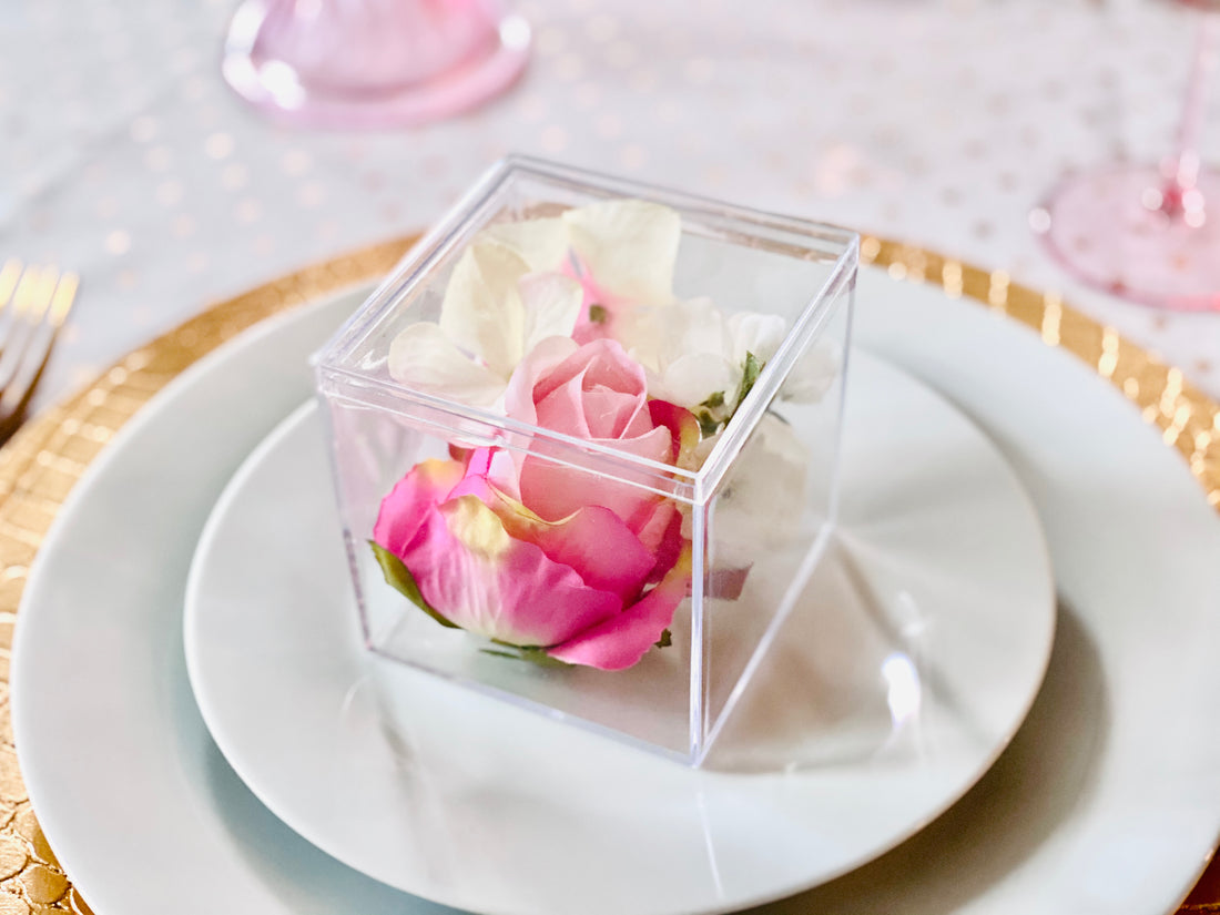 Clear Cubes – Large Cube 3.25"