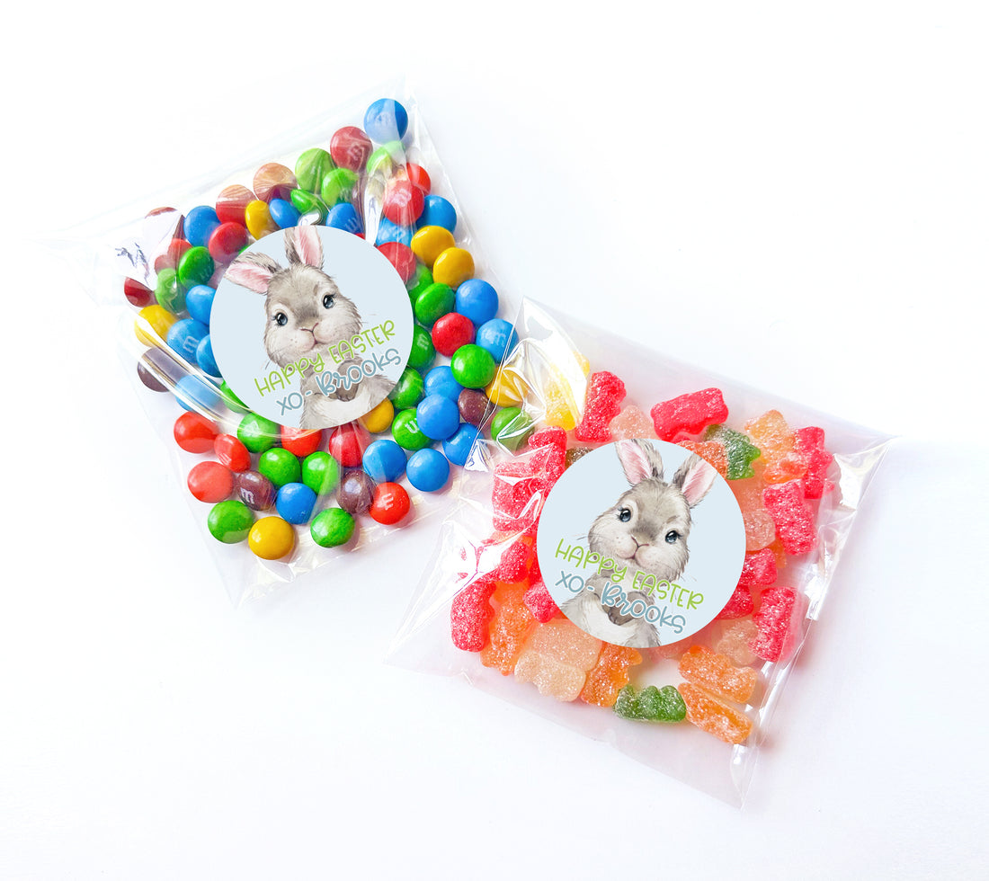 Favor Bags – Boy Rabbit