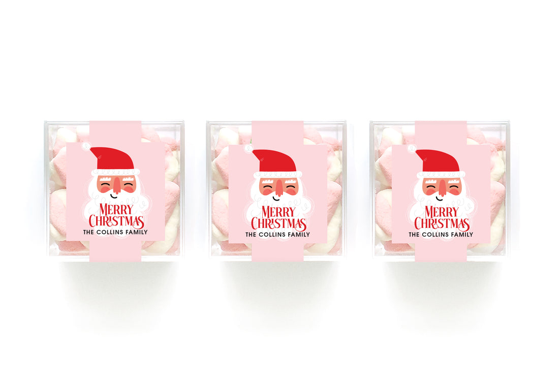 Clear Cubes – Fun Santa